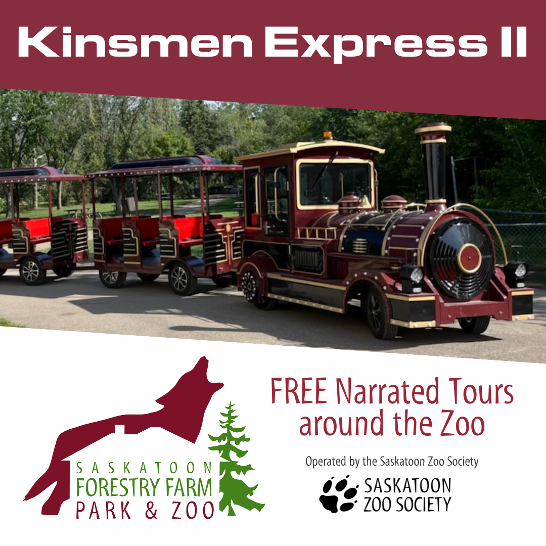 Social - Multiple (1)