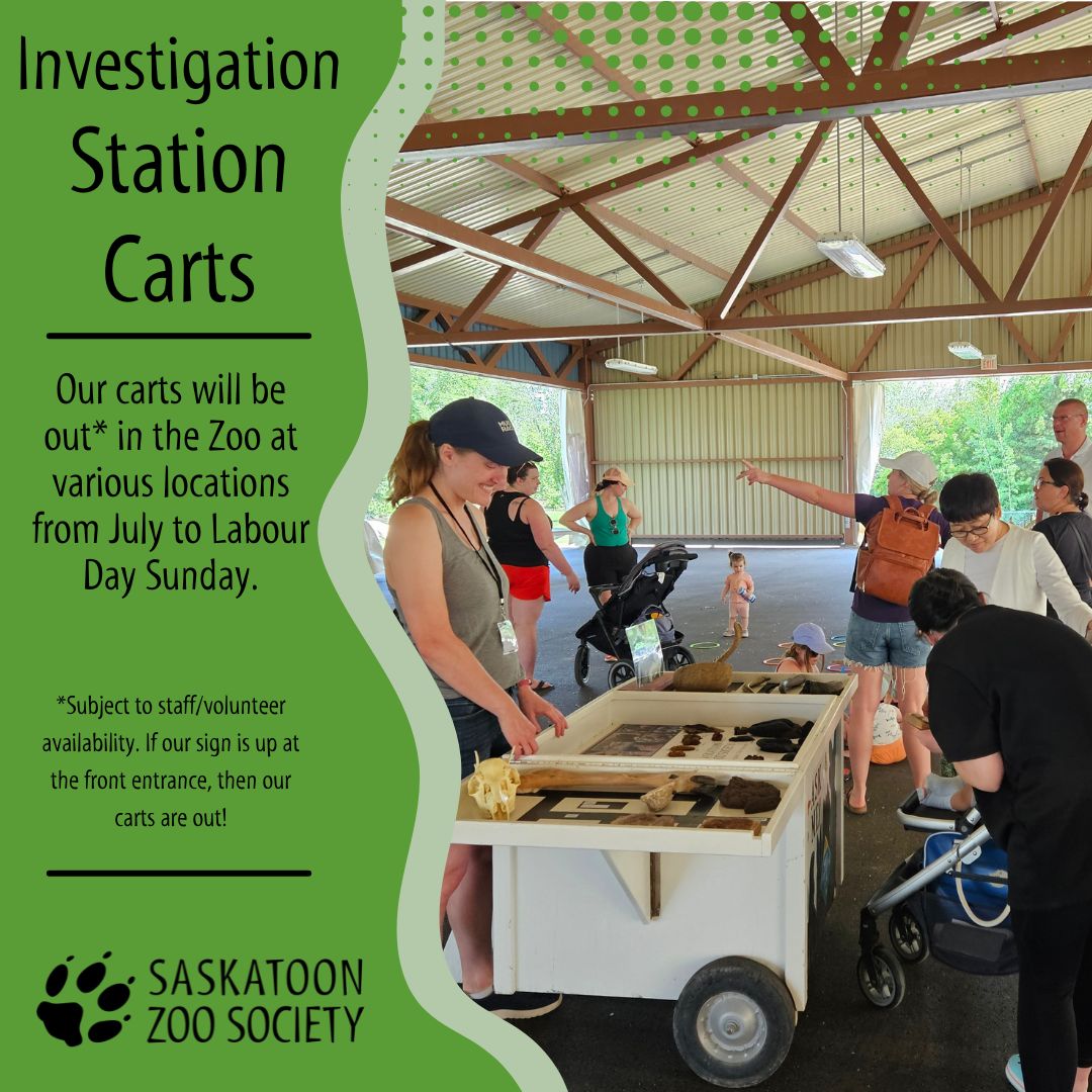 Investigation Stations (2)