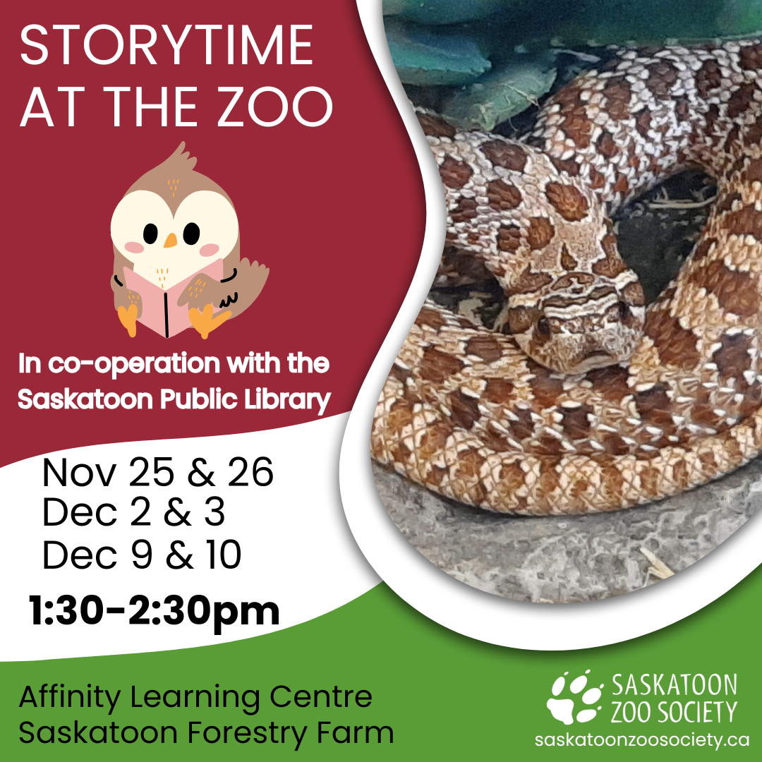 Storytime at the Zoo